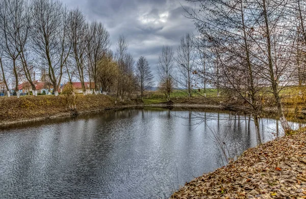 Afbeelding Van Een Visvijver Het Najaar Tijdens Een Bewolkte Dag — Stockfoto