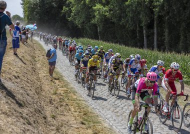 Fransa, Escaudoeuvres Thun - 15 Temmuz 2018 Pave: Belçikalı bisikletçi Greg Van Avermaet Bmc takım sarı mayoyu peloton içinde Arnavut kaldırımlı yolda sürme sırasında Le Tour de France 2018 sahne 9