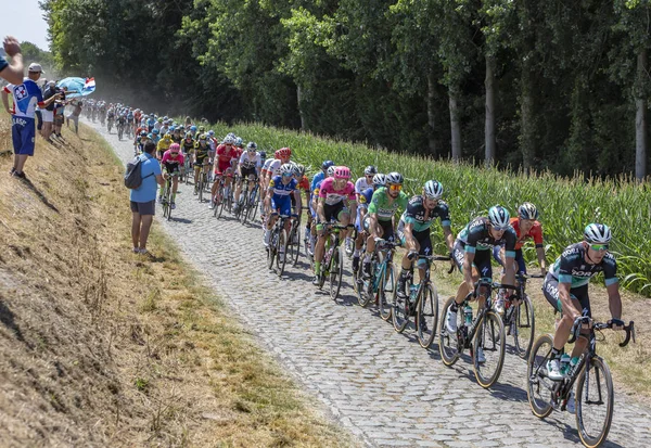 Frankrike Bana Escaudoeuvres Thun Juli 2018 Slovakisk Cyklist Peter Sagan — Stockfoto