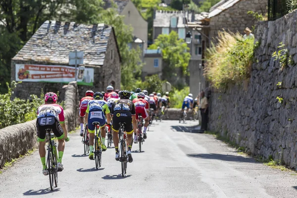 Pont Montvert Sud Mont Lozere Frankrijk Juli 2018 Achteraanzicht Van — Stockfoto