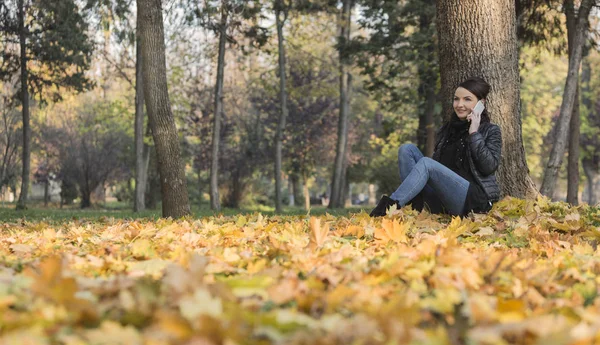 Retrato Una Joven Con Móvil Sentado Bosque Amarillo Otoño —  Fotos de Stock