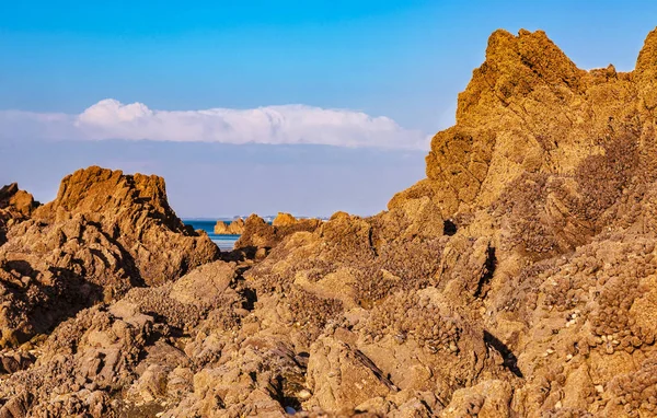 Άγρια Βραχώδη Παραλία Βρετάνη Ακτογραμμή Πανοπλία — Φωτογραφία Αρχείου