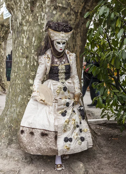 Annecy France March 2014 Portrait Disguised Person Posing Annecy France — Stock Photo, Image