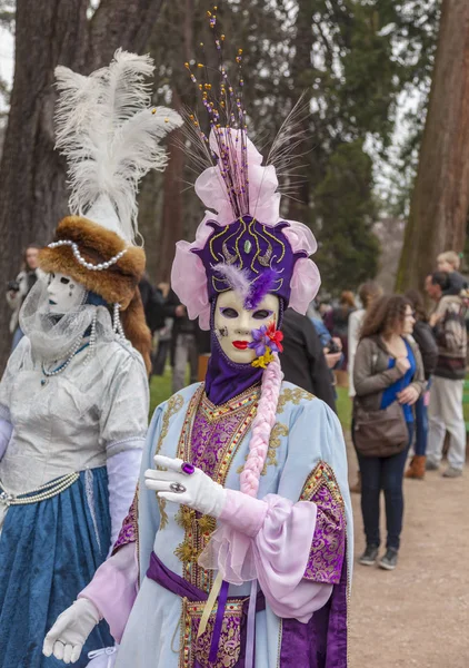 Annecy France Mars 2014 Portrait Une Personne Déguisée Posant Annecy — Photo