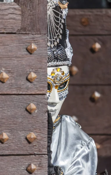 Verkleidete Person - annecy venezianischen Karneval 2014 — Stockfoto