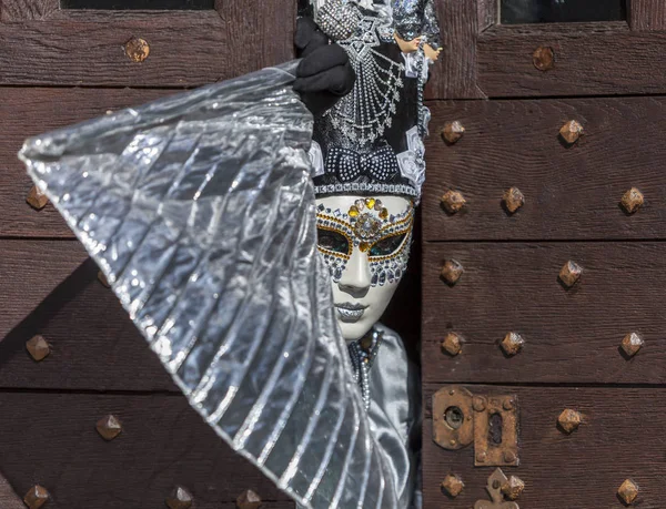 Приховані особи - Аннесі венеціанський карнавал 2014 — стокове фото
