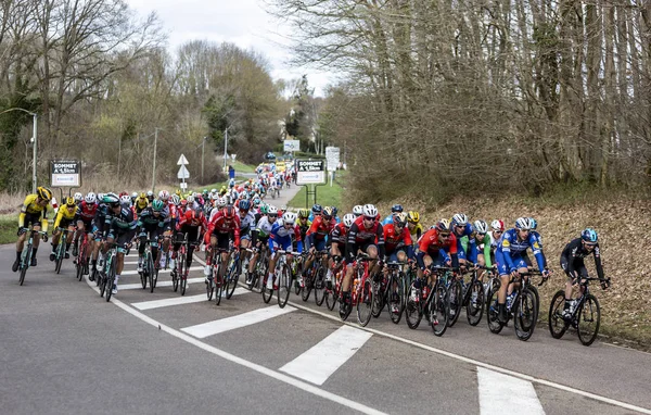 Peloton - Paříž Nice 2019 — Stock fotografie