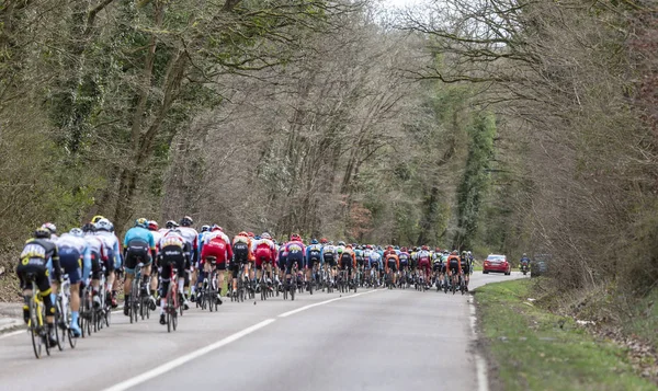 Das Peloton - Paris-nice 2019 — Stockfoto