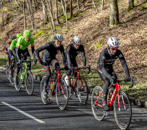 Het Peloton - Parijs-Nice 2017 — Stockfoto