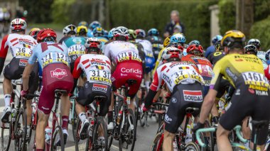 Peloton - Paris-Nice 2019