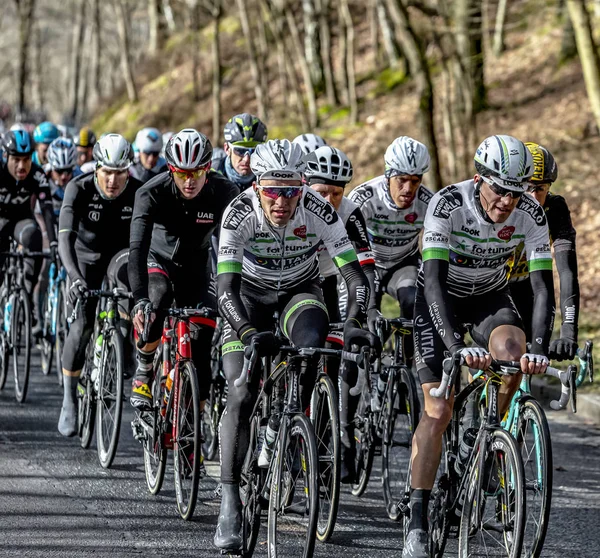 Het Peloton - Parijs-Nice 2017 — Stockfoto