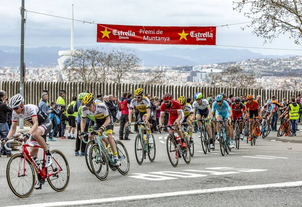 The Peloton in Barcelona - Tour de Catalunya 2016 — Stock Photo, Image