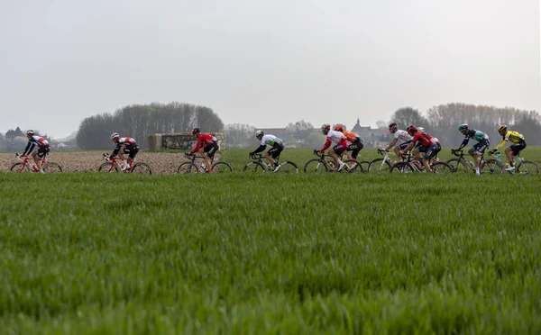 El Pelotón - París-Roubaix 2019 — Foto de Stock