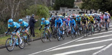 Peloton - Paris-Nice 2019