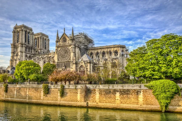 Notre Dame de Paris Cathedral efter branden den 15 april 2019 — Stockfoto