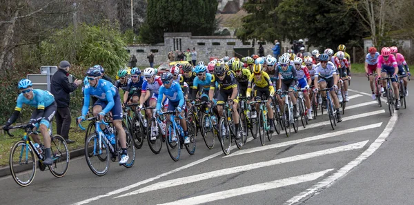 Le Peloton - Paris-Nice 2019 — Photo