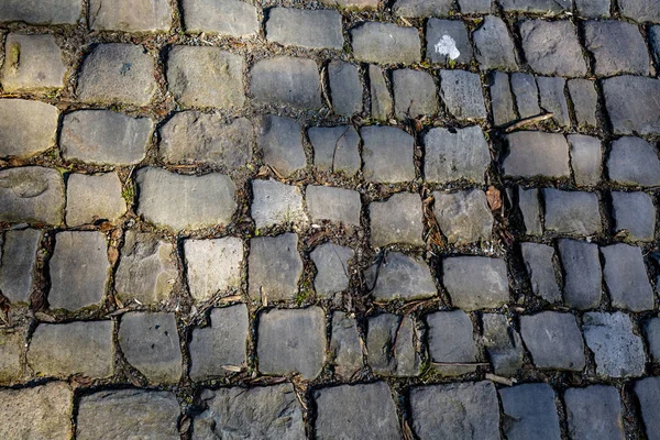 Muur Van Geraardsbergen Belçika Bulunan Ünlü Arnavut Kaldırımlı Yol Detayını — Stok fotoğraf