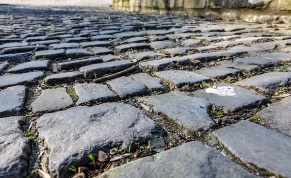 Muur ヴァン Geraardsbergen がベルギーにある有名な石畳の詳細です この道は毎年が主催する有名な 日ロード サイクリング レース フランダースのツアー — ストック写真