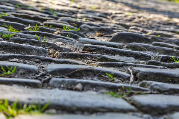 Muur van Geraardsbergen Belçika'da bulunan ünlü Arnavut kaldırımlı yol detayını. Bu yolda ünlü bir gün her yıl düzenlenen yol bisiklet yarışı tur Flanders. 