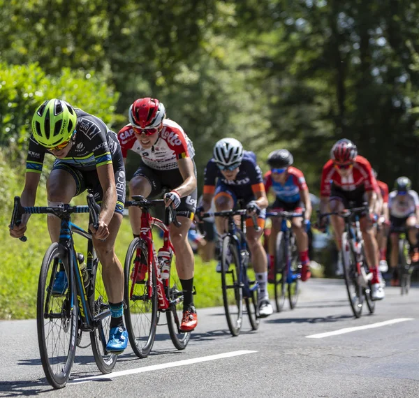 O Pelotão Feminino - La Course by Le Tour de France 2019 — Fotografia de Stock