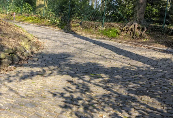 Estrada do cobblestone de Flandres — Fotografia de Stock