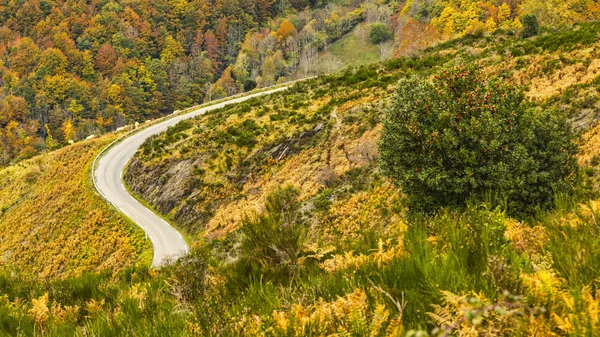 Tie vuorilla syksyllä — kuvapankkivalokuva