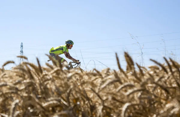 Saint Quentin Fallavier França Julho 2016 Ciclista Dinamarquês Michael Valgren — Fotografia de Stock