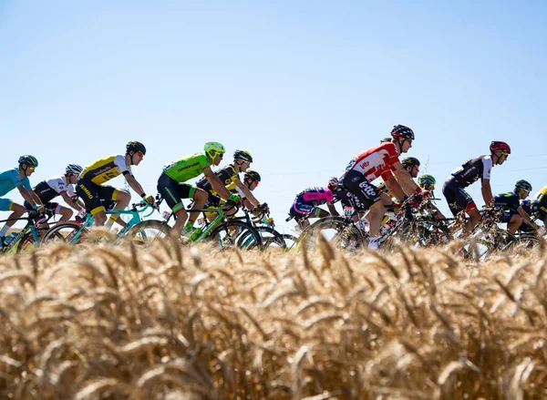 Saint Quentin Fallavier Frankrike Juli 2016 Pelotonridning Veteslätten Etapp Tour — Stockfoto