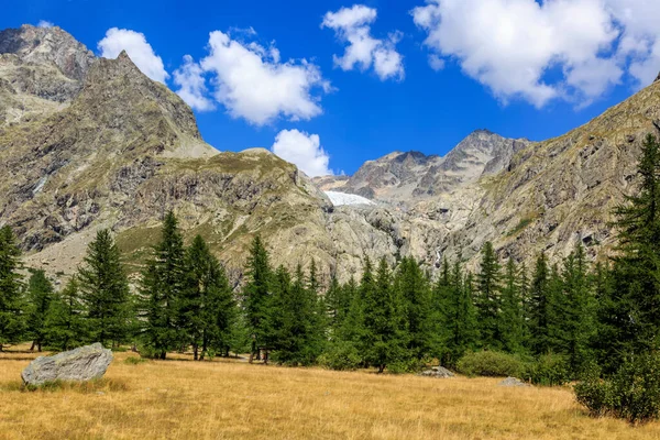 2019年夏 位于法国阿尔卑斯山脉Ecrins Massif的Galcier Blanc 2542M 南部的图像 — 图库照片