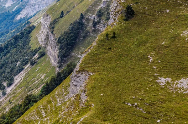 Специфічні Деталі Рельєфу Монт Ронді Французьких Горах Юра — стокове фото