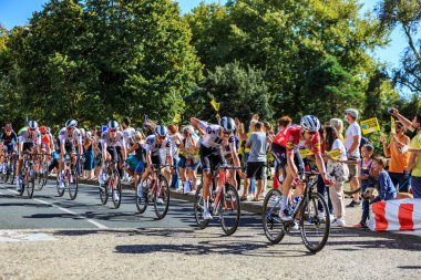 La Rochelle, Fransa - 08 Eylül 2020: Le Tour de France 2020 'nin 10. aşaması sırasında La Rochelle' deki pelotonun önünde Sunweb Takımı.
