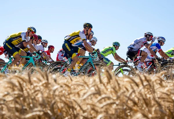 Saint Quentin Fallavier Frankrike Juli 2016 Pelotonridning Veteslätten Etapp Tour — Stockfoto