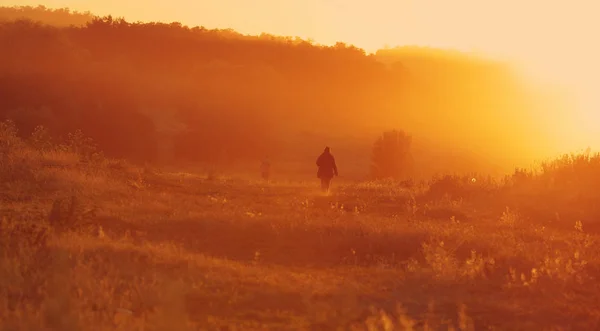 Landscape Field Early Morning First Rays Sun — Stock Photo, Image