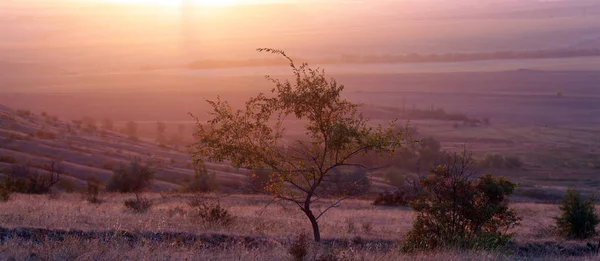 Landscape Morning Rays Rising Sun — Stock Photo, Image