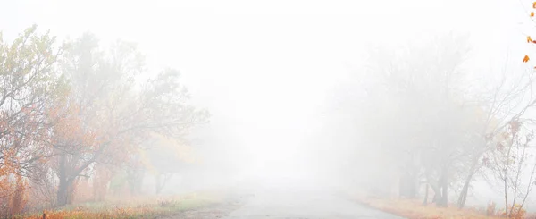 Forêt Automne Matin Dans Brouillard — Photo
