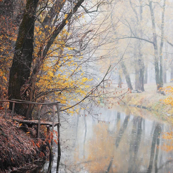 Autumn Forest Morning Fog — Stock Photo, Image