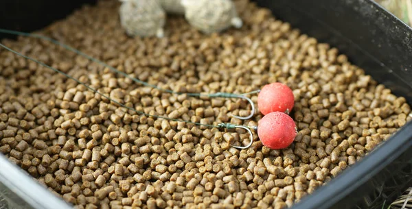 En iyi sazan yiyeceği kancayla pişirilir ve monte edilir.