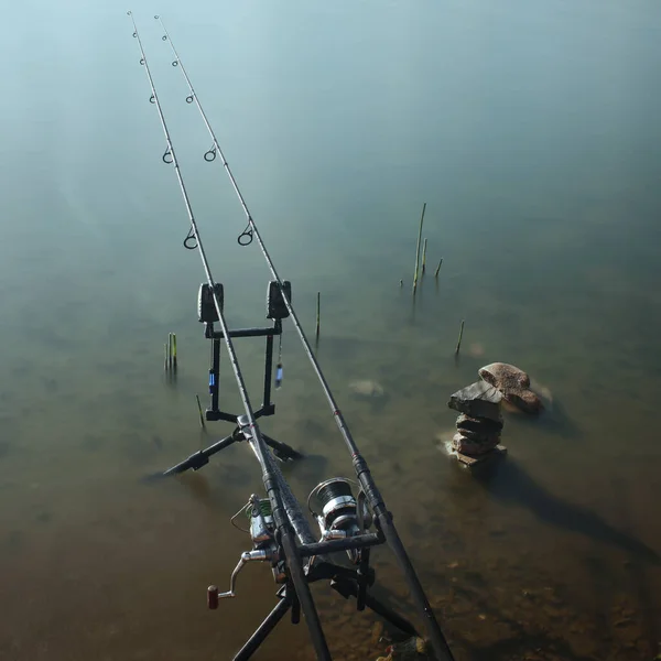 Karper Rek Met Stangen Het Water — Stockfoto