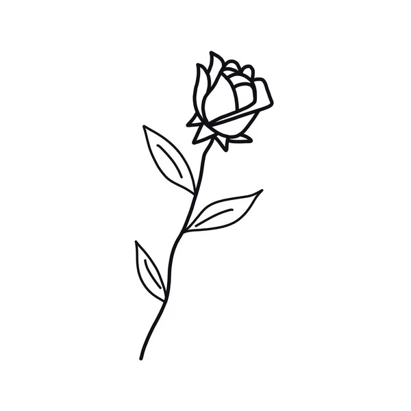 A drawing of a Rose with black ink — Stock Photo, Image