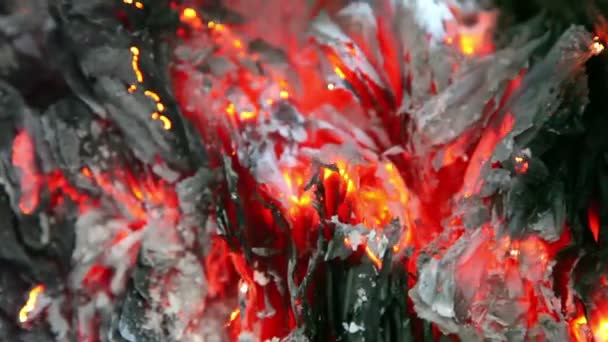Hd1080P Les Flammes Les Cendres Après Combustion — Video