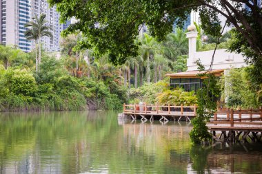 Köprü ve yansıma göl güzel bahçe