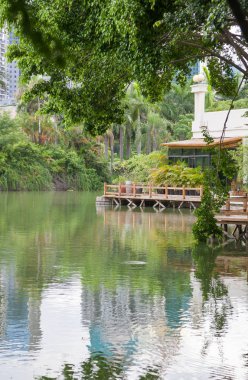 Köprü ve yansıma göl güzel bahçe