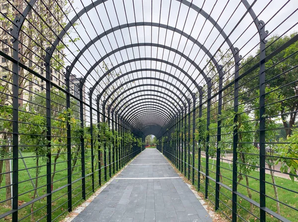 Walkway through tunnel filled with shrub and trees in a small st — Stock Photo, Image