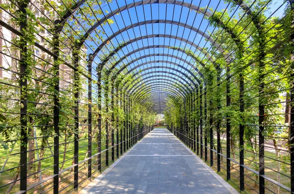 Paseo a través del túnel lleno de arbustos y árboles en un pequeño st — Foto de Stock