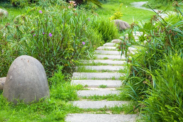 Stengången Slingrar Sig Genom Lugn Sommarträdgård — Stockfoto