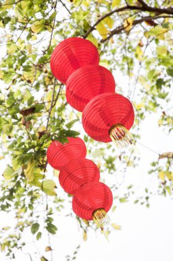 Çin Mahallesi 'nde yeni yıl için ağaçta asılı duran el yapımı kırmızı fenerler.