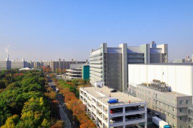 Sonbaharda modern fabrika binaları ve renkli ormanlarıyla güzel şehir manzarası, Osaka, Japonya.