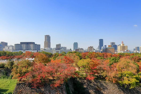 Beautiful Cityscape Colorful Woods Foregroud Blue Sky Background Viewed Osaka — стоковое фото