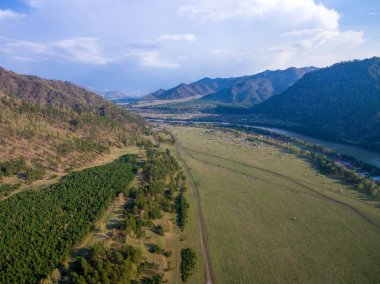 Dağlarda bahar, Altay'ın güneyinde kuru dağ yamaçları