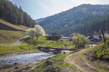 eski dağ yamacı yakınındaki ormanda taşlar ve yosun Nehri Köprüsü plakalar kırık